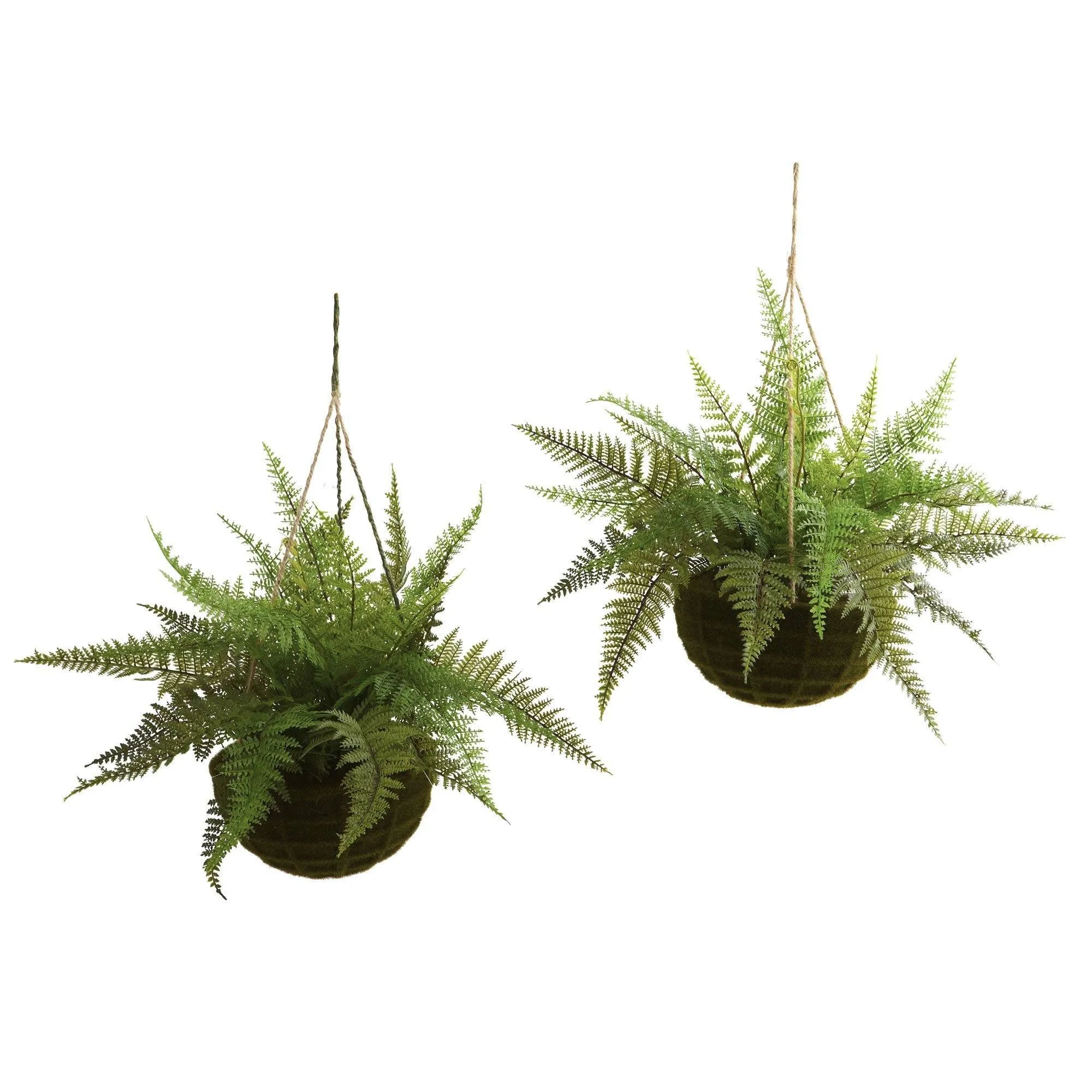 13" Leather Fern Hanging Basket w/ Moss - Set of 2   (Indoor/Outdoor)