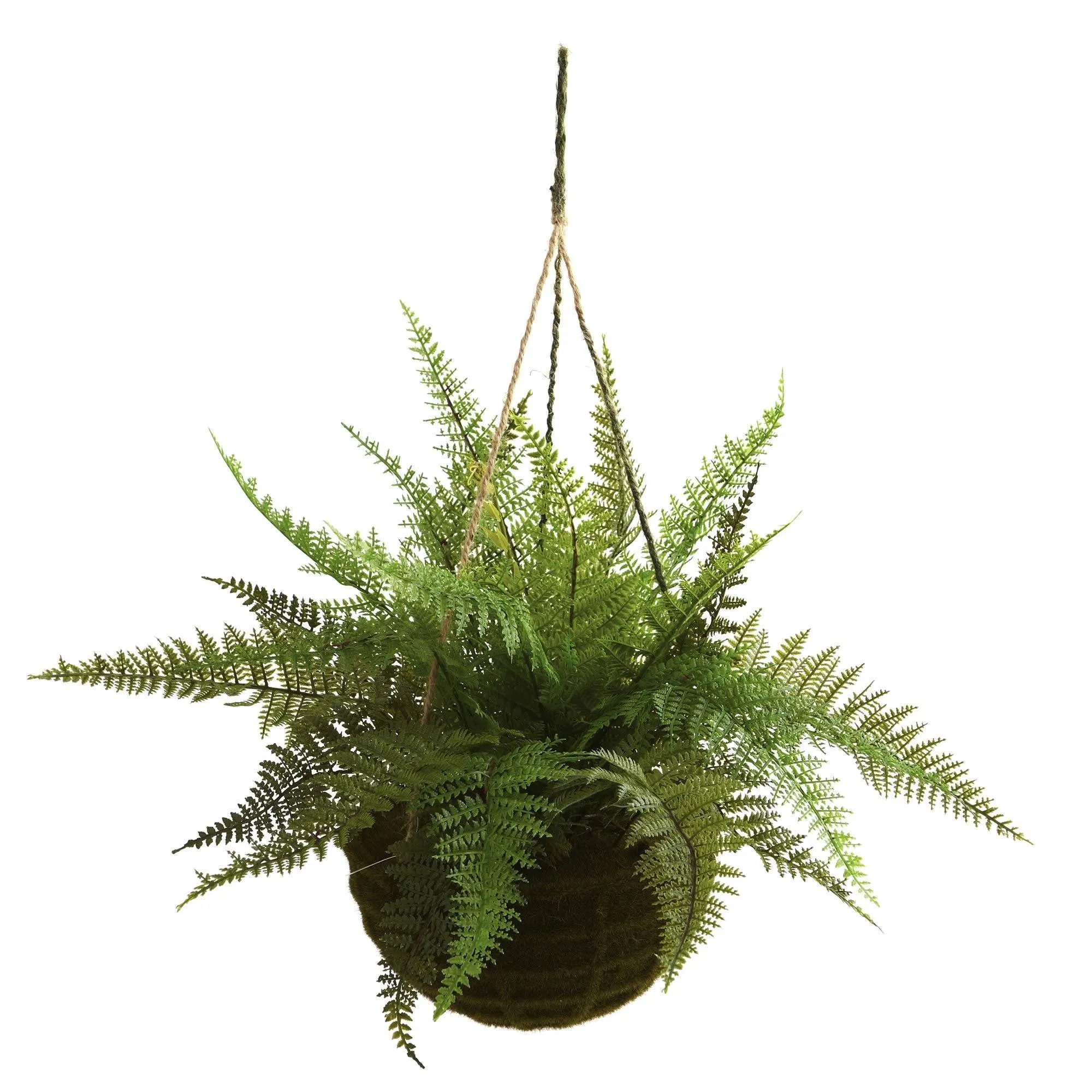 13" Leather Fern Hanging Basket w/ Moss - Set of 2   (Indoor/Outdoor)