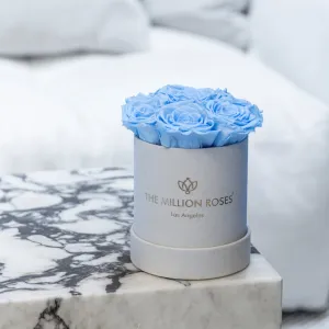 Basic Beige Suede Box | Light Blue Roses