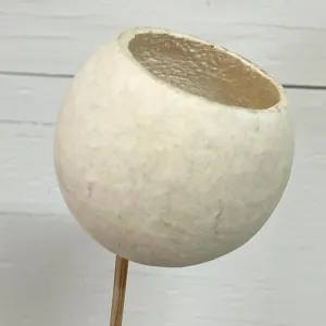 Bell Cup Bleached Stem