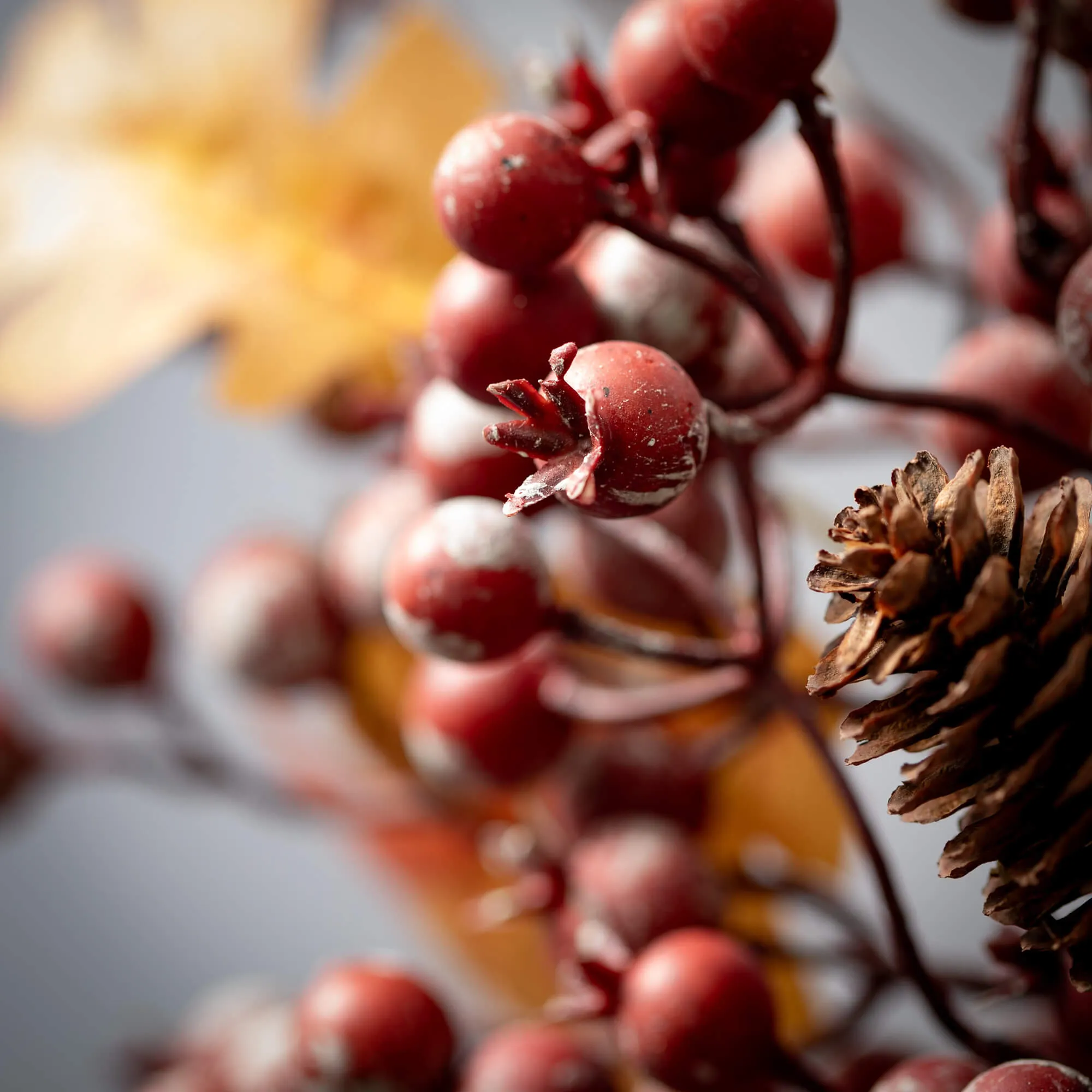 Berry/Leaf Pick