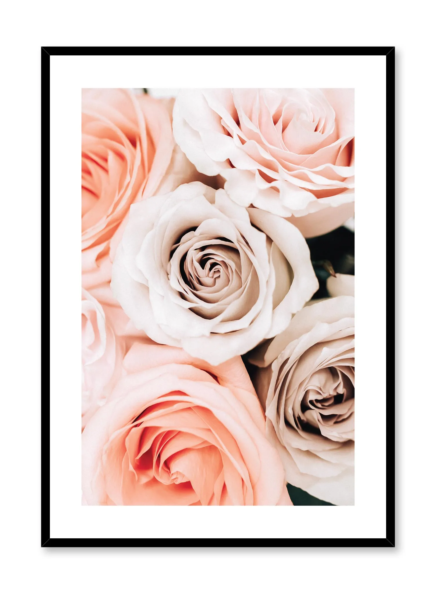 Bouquet of Roses, Poster