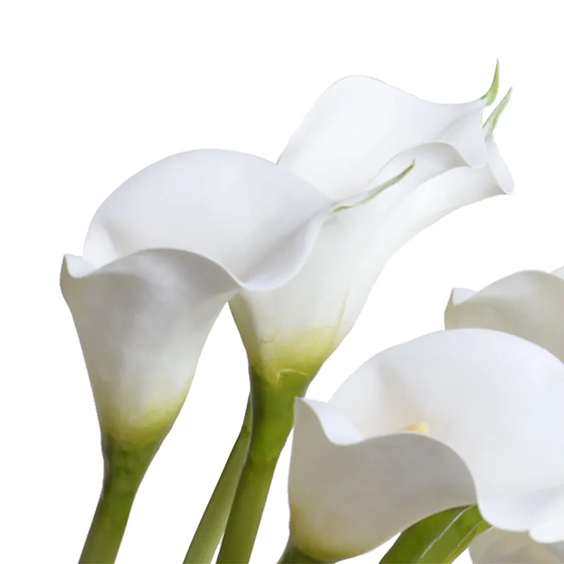 Calla Lily with Succulent Collar in Glass 30"H