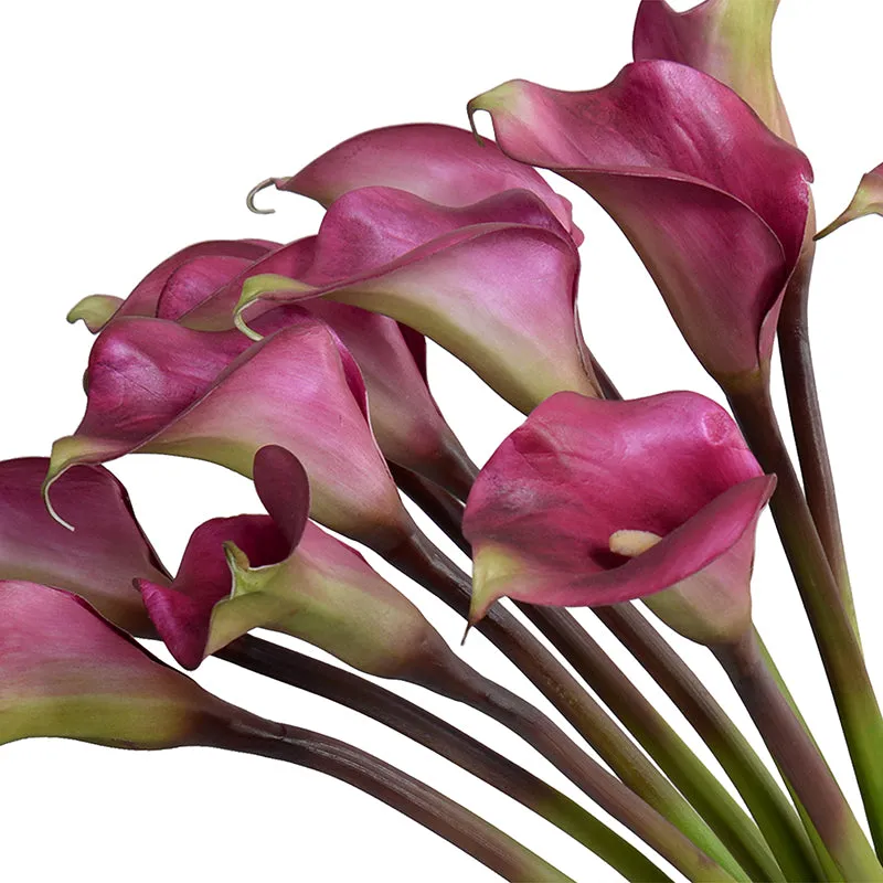 Calla Lily with Succulent Collar in Glass 30"H