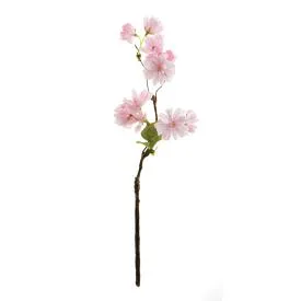 Cherry Blossom Cutting ~ Light Pink