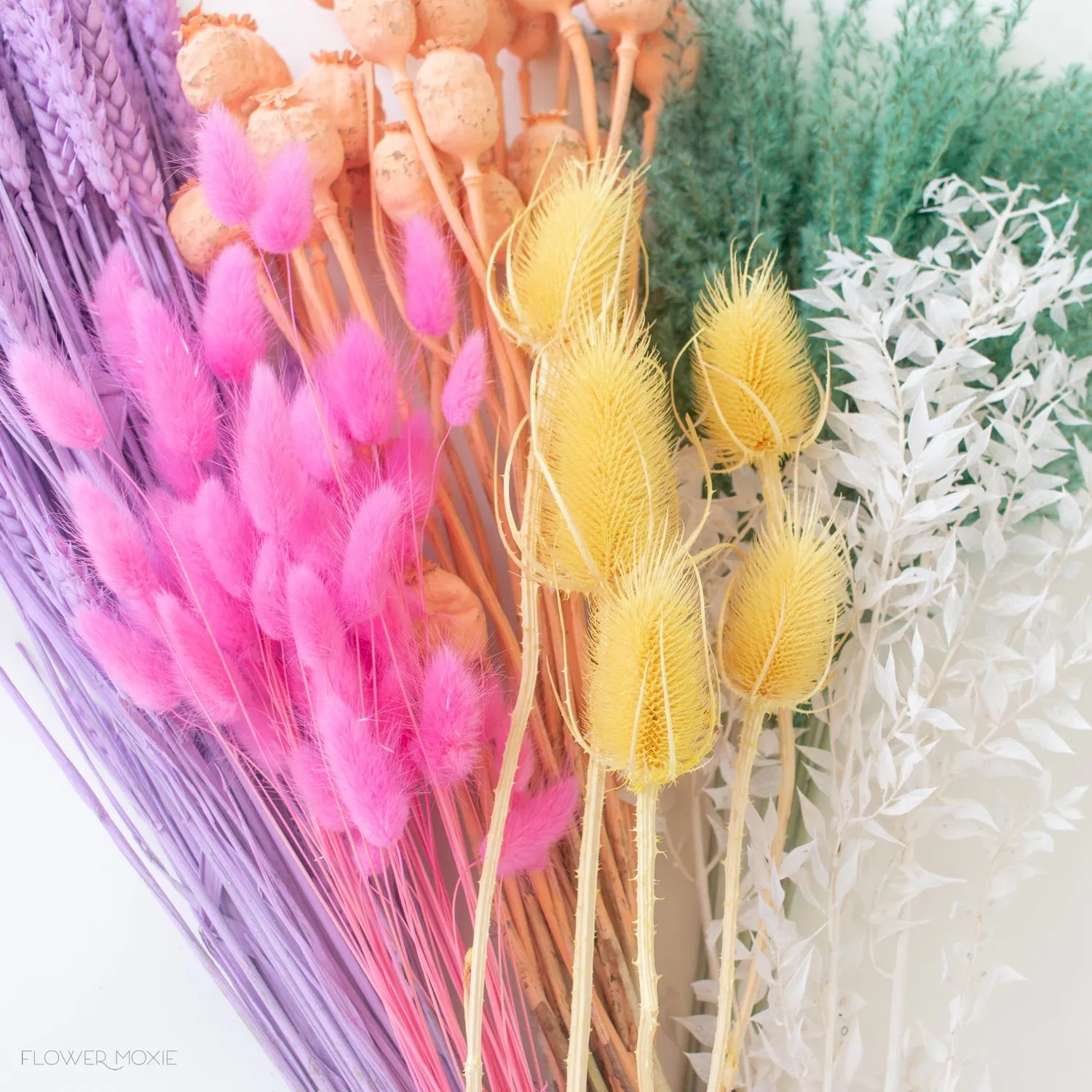 Colorful Dried Flower Lot - Rainbow