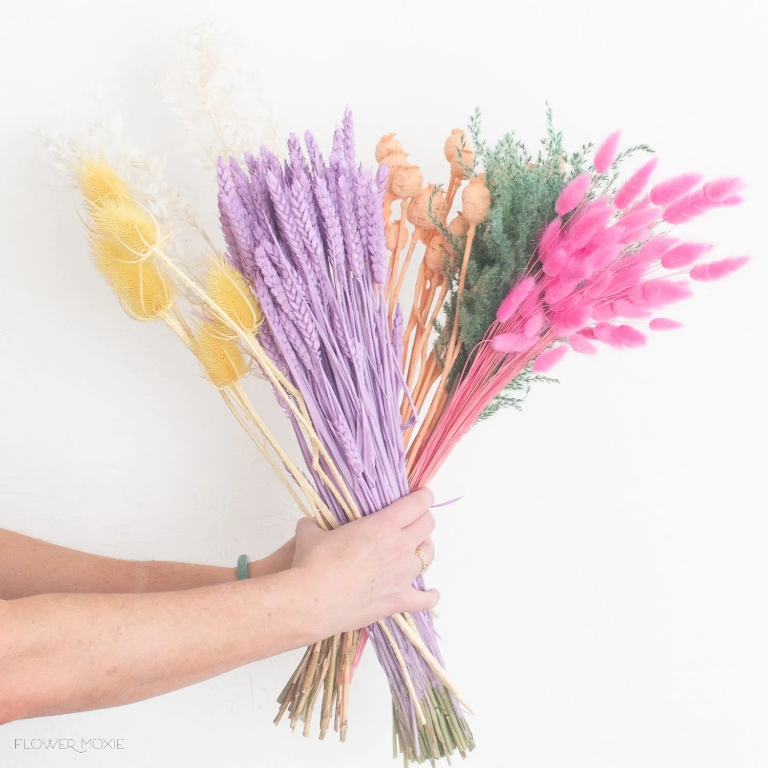 Colorful Dried Flower Lot - Rainbow