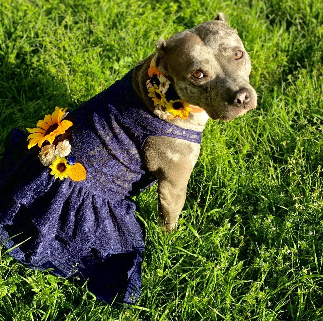 Formal Dog Dress | The Dorothy