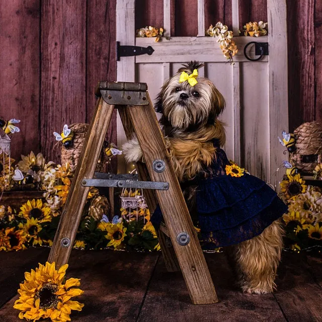 Formal Dog Dress | The Dorothy