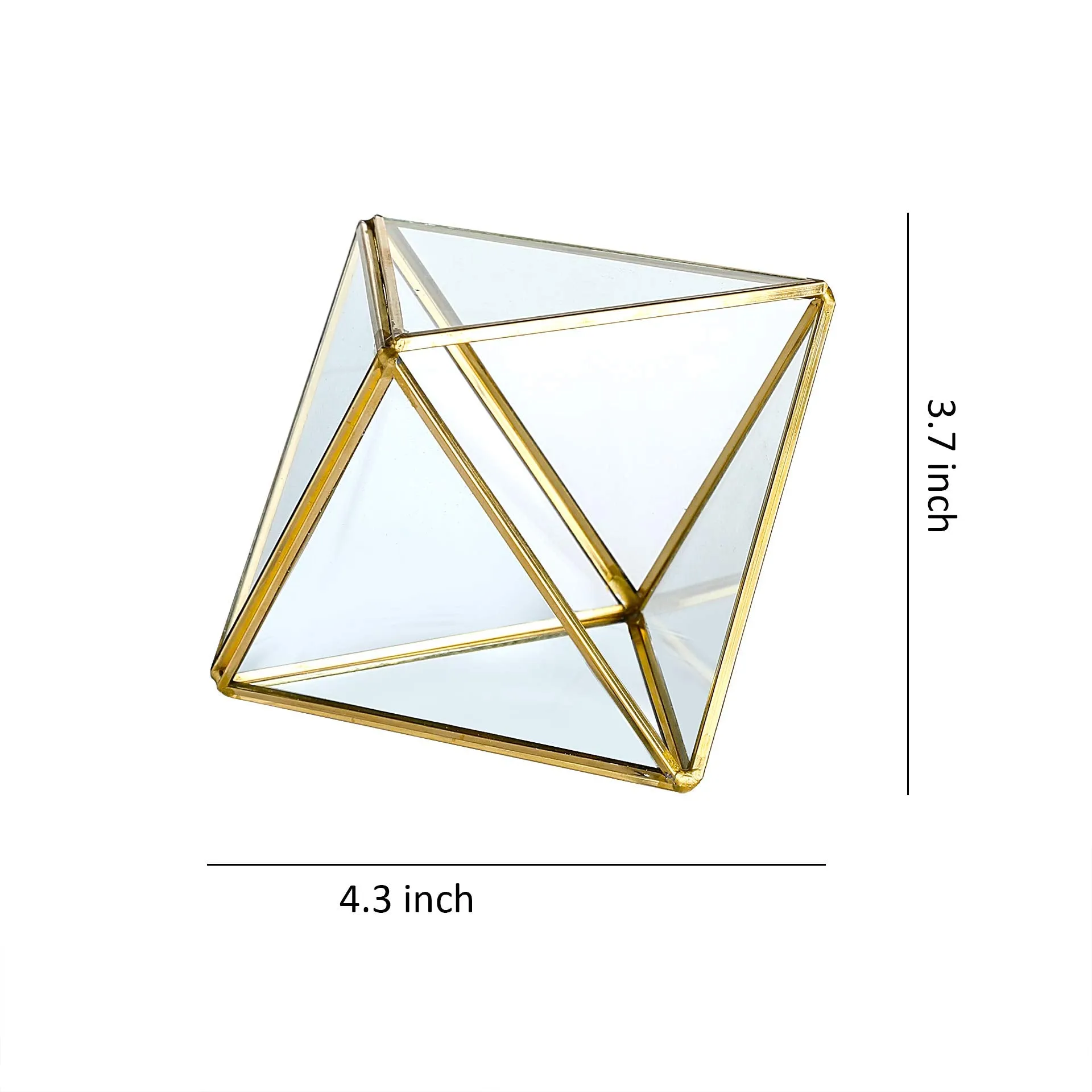 Glass Geometric Terrarium Container 4.5X5.2 inch and 4.3X3.7 inch Glass Terrarium