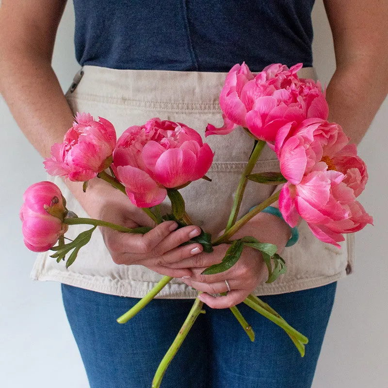 MAY-JUNE ONLY Coral Peony Flower