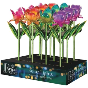 Mini Solar Tulip Stakes