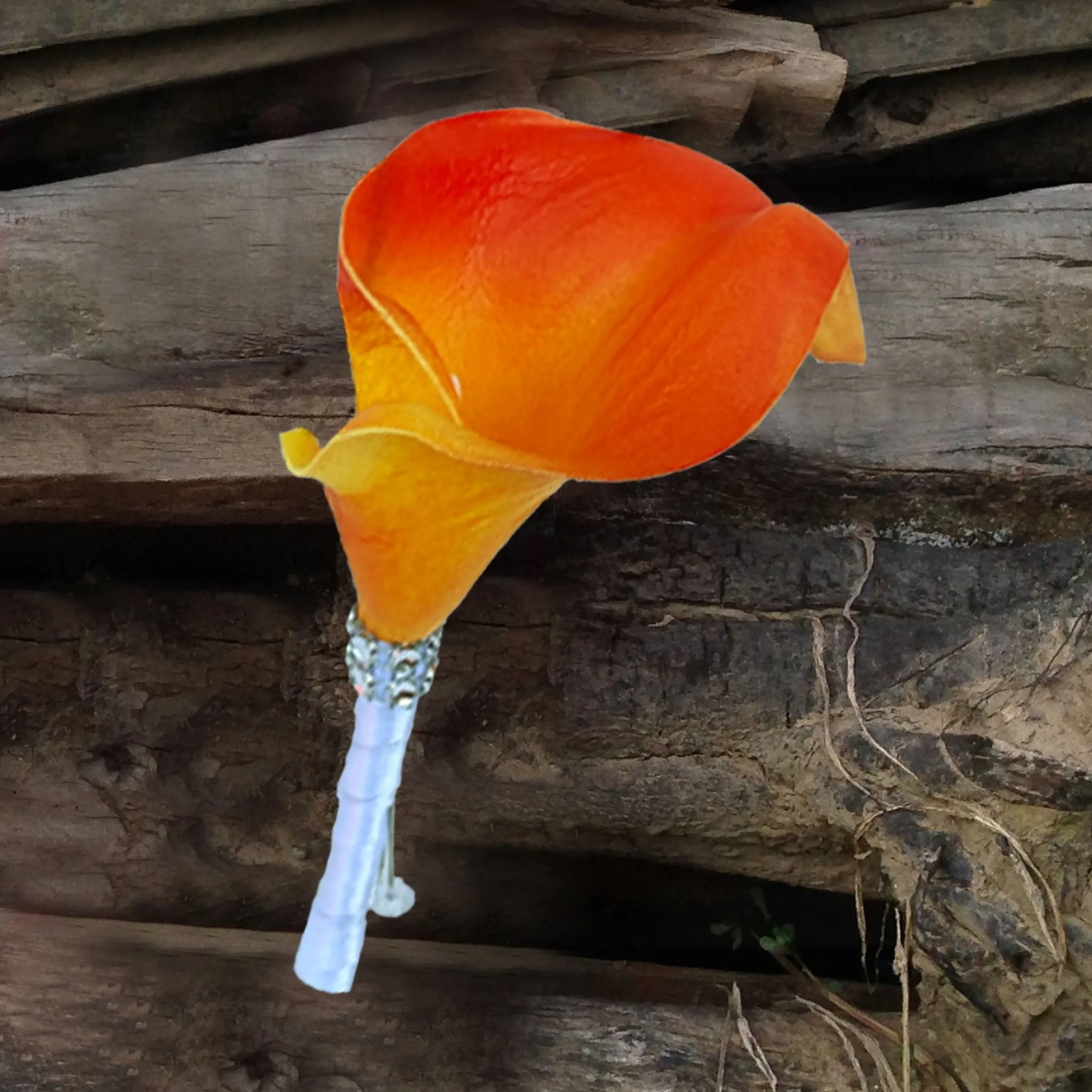 Orange Fuchsia Calla Lily Boutonnieres