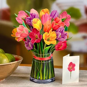 Pop-Up Mixed Tulips