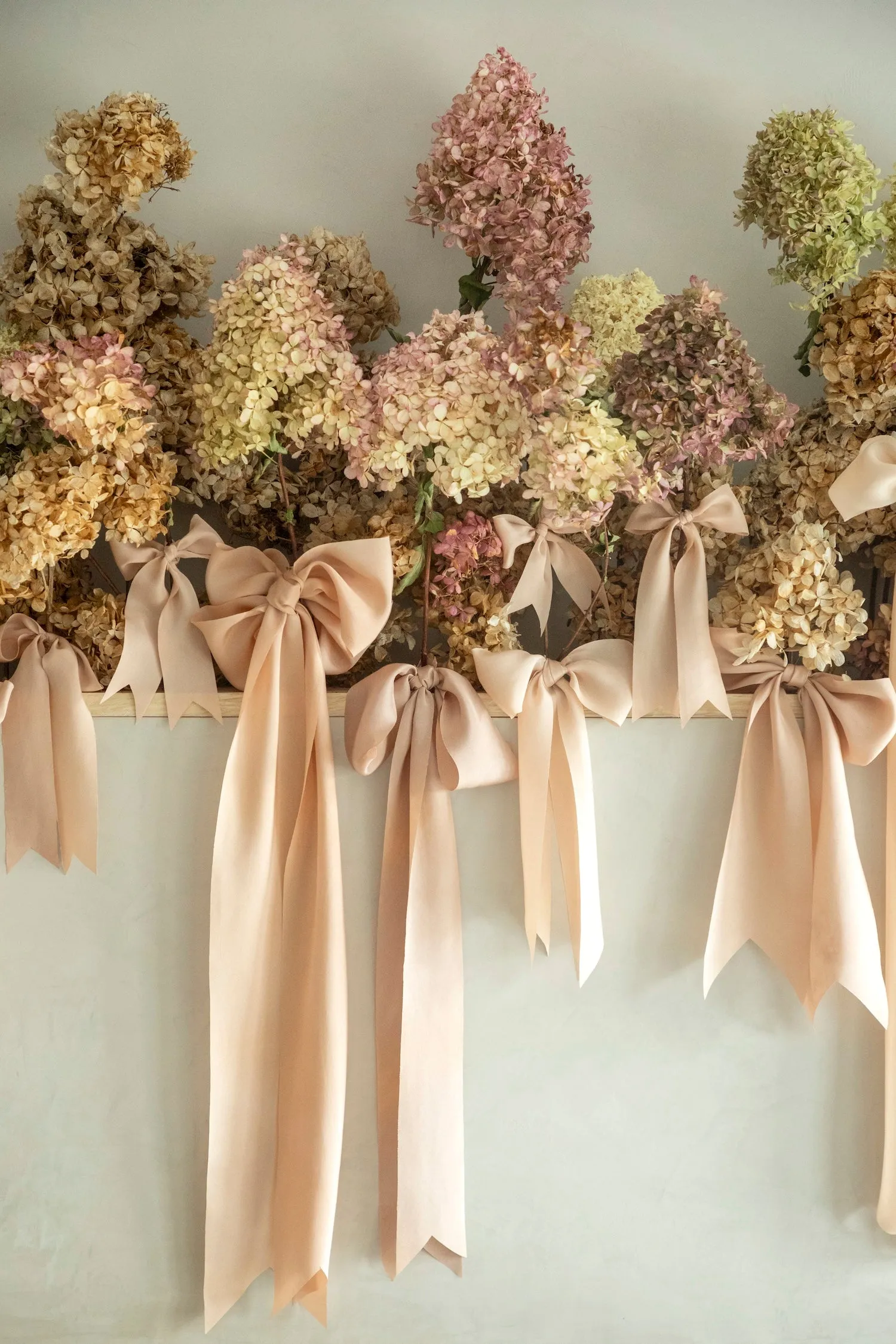 Ribbon Set / Blush Silk Ribbons