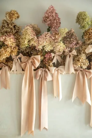 Ribbon Set / Blush Silk Ribbons