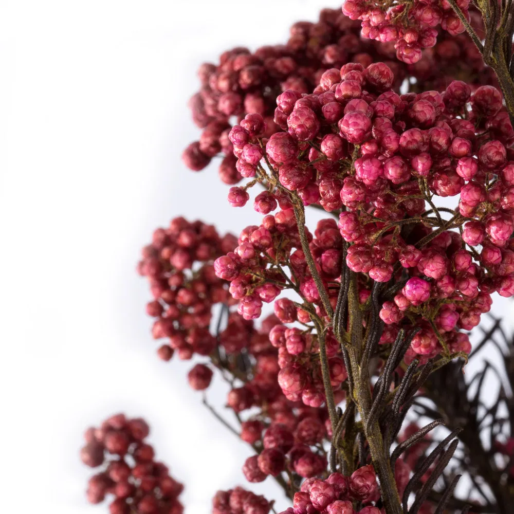 Rice Flower