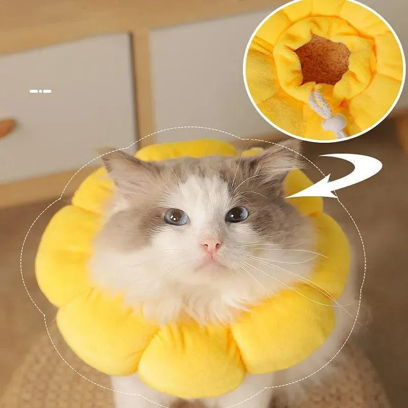 Sunflower Bloom Recovery Collar