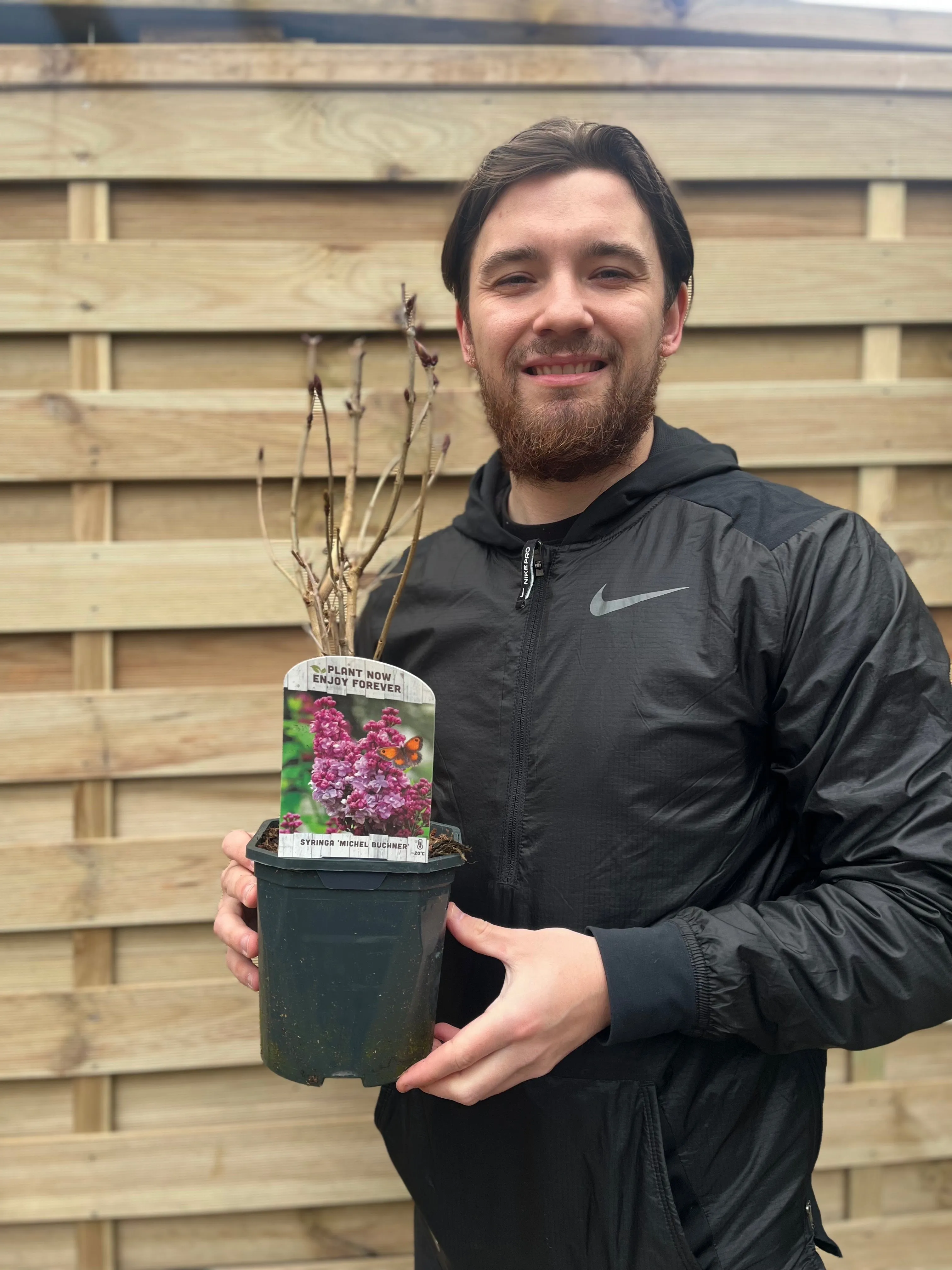 Syringa vulgaris 'Michel Buchner' 2L