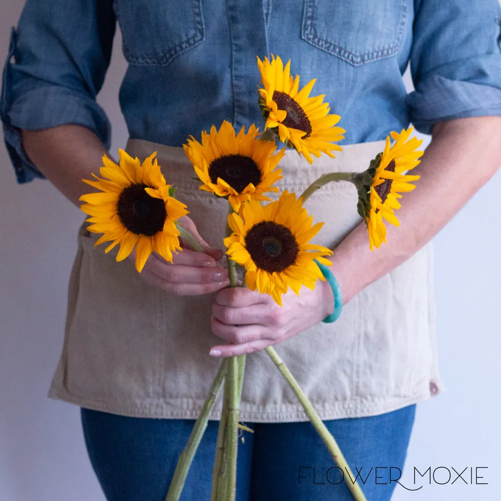 Yellow Sunflower Flowers