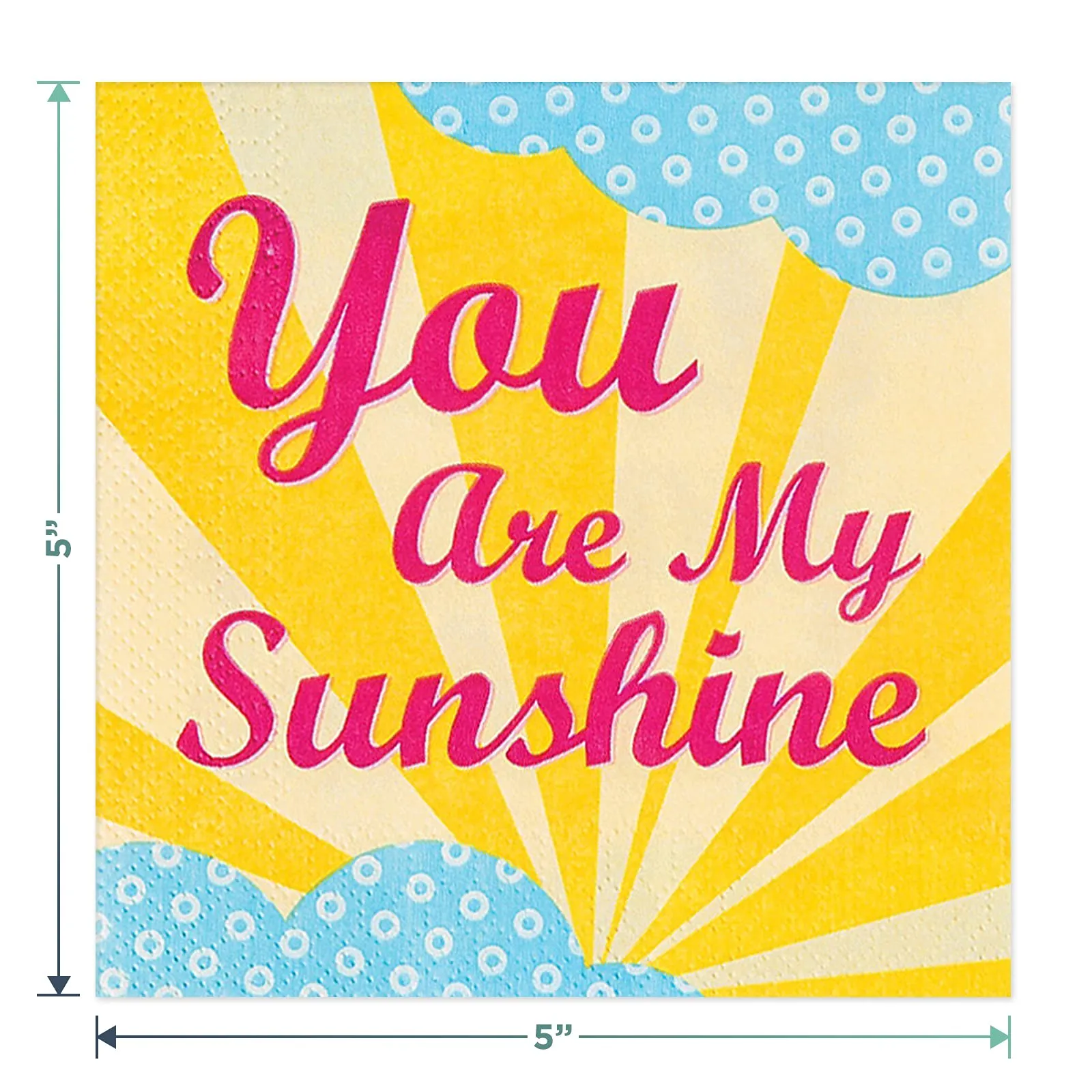 You are My Sunshine Baby Shower and 1st Birthday Party Paper Dessert Plates, Napkins, Cups, Table Cover, and Banner (Serves 16)